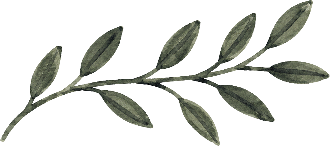 Sprig 1